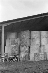 https://deform.at/files/gimgs/th-70_15-La-ferme-pile-foin.jpg